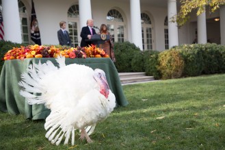 P20171121SC-0303 DJT Turkey pardon_0.jpg